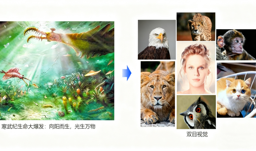 1760946046620207.png 1-進化-官網.png